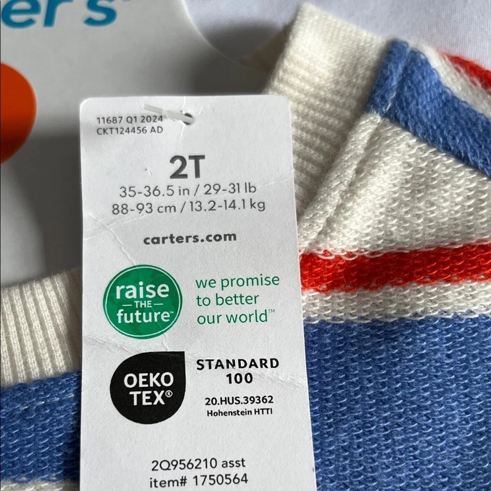 Carters vibrant stripes
